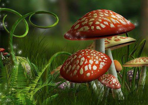 九食物帮OL女性抗辐射