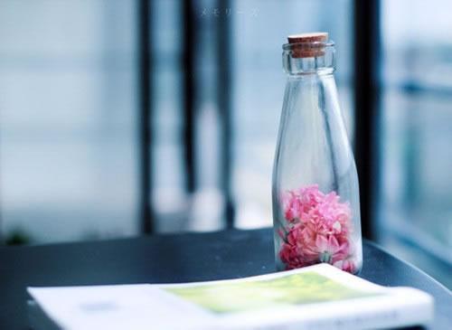 黑米和血糯米的区别