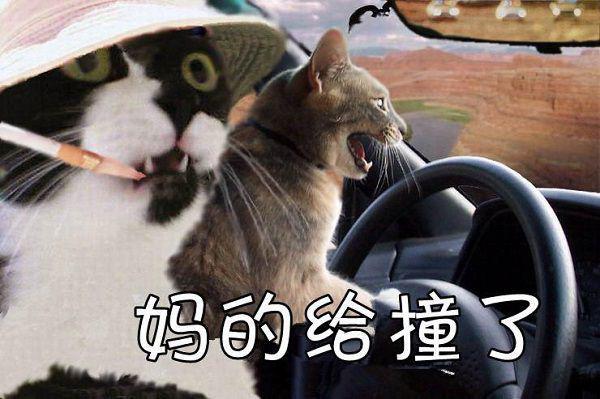 猴头菇的食疗功效