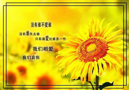 酒前喝牛奶防醉 酒后吃西瓜醒脑