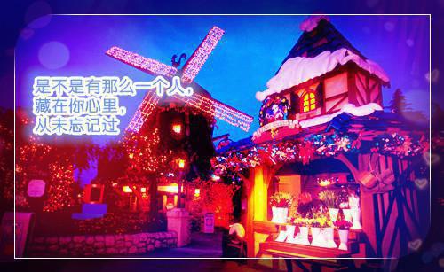 2050岁白领营养计划