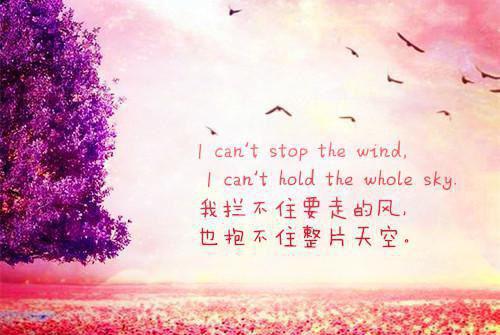 备孕期间这样的奶粉不能喝