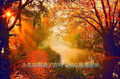 儿童吃熟食板栗能和胃健脾