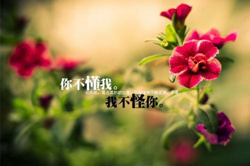 5种有助于瘦身的营养海产食物