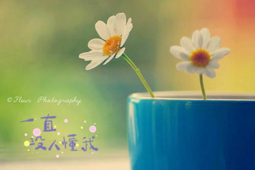 紫薯减肥抗癌是真的吗？