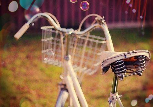 这些水果能防酒醉