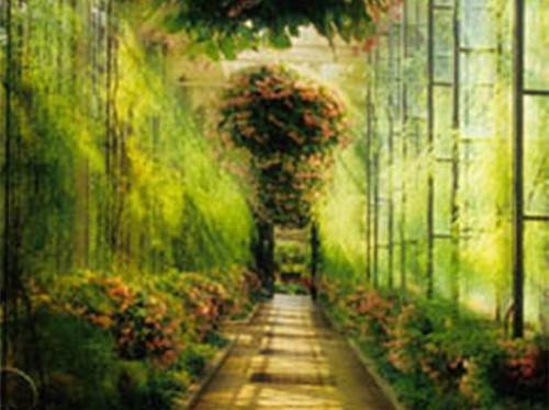 酸奶搭配减肥法消肿除便秘