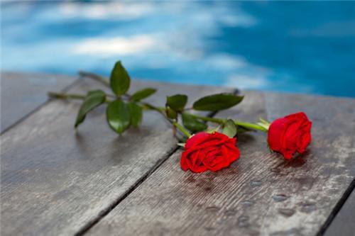 常吃这些食物 可补充维生素D