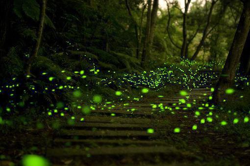 吃什么可以补气血？推荐6种补血食物