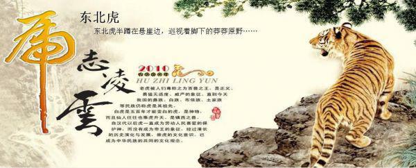 肠胃不好的人吃什么比较养胃