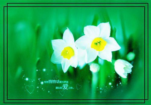 午餐吃红薯可防止钙流失