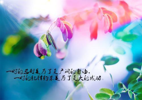 菠菜的药用价值