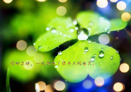 常吃黑南瓜子 缓解心绞痛