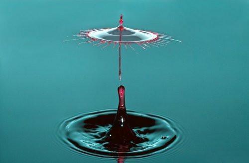 秋季养生首选莲藕