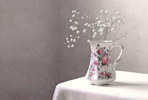 凉粉果的药用价值