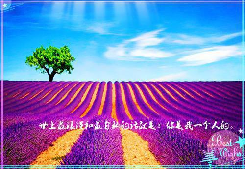 预防牙病的水果 番石榴可护牙龈