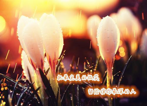 补铁的9种食物，韭菜能补铁吗？