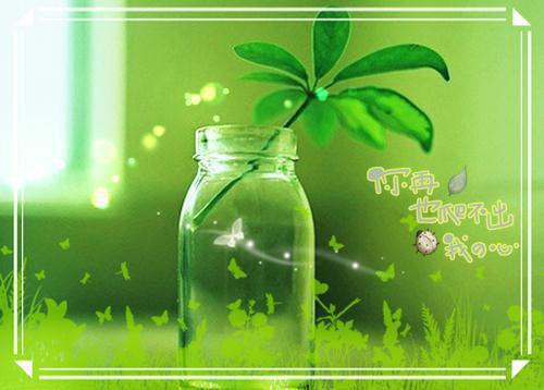 废物不废西瓜皮可作药用