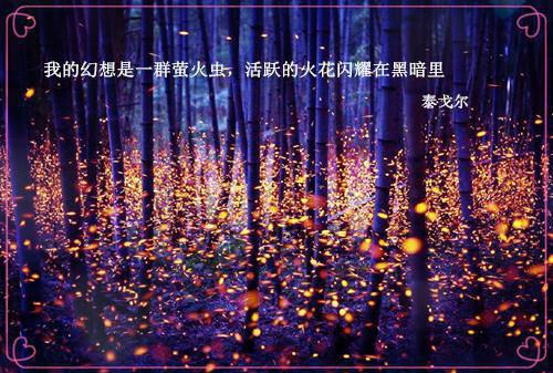 胖宝宝喝点豆浆更健康