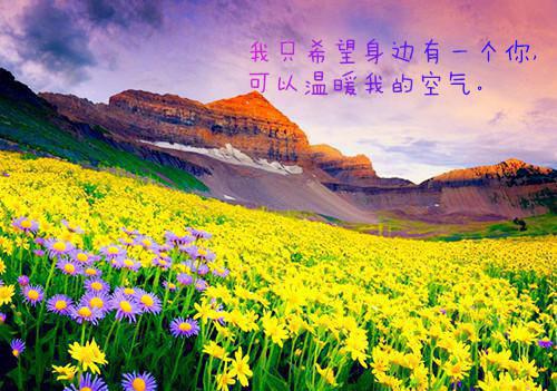 孕妇多吃蔬菜可防孩子偏食