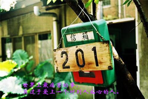 适合准妈妈吃的“平价菜”