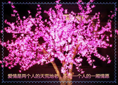 红枣能减肥？这样吃红枣真不会胖