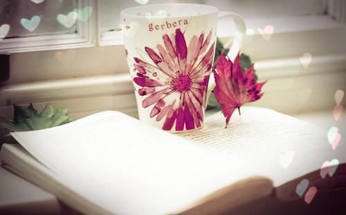 牛脑的营养价值及做法