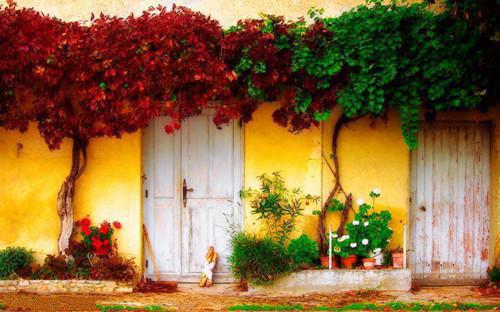 女人秋季滋补，这8种食物少不了