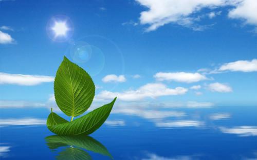 春天排毒减压 就吃荞麦面