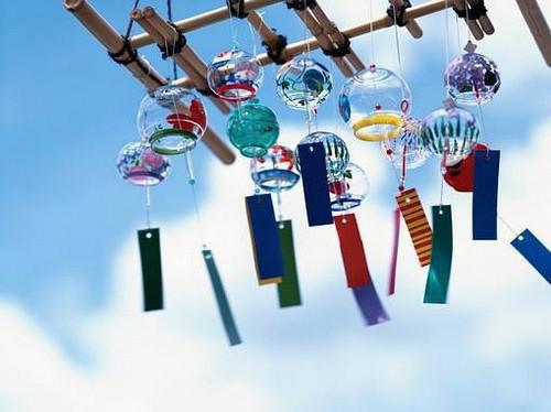 盐云参的药用价值