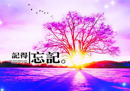 喝奶昔治疗经前综合征