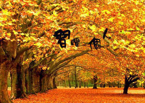 节后五种食物消油脂