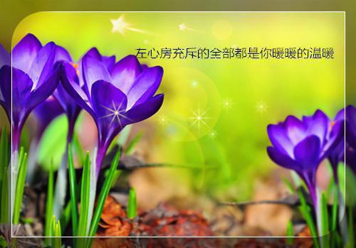 4款补水糖水，让你的皮肤不再干燥！