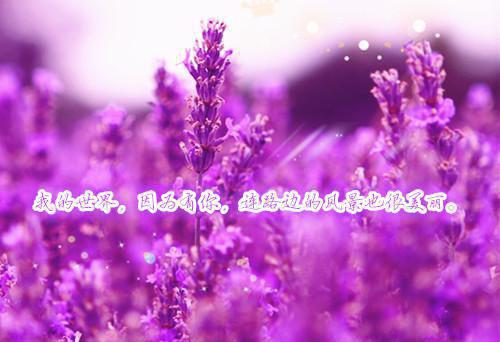 春季如何正确进行食补