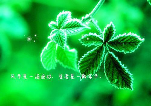 改良版疙瘩汤 宝宝三餐都适宜