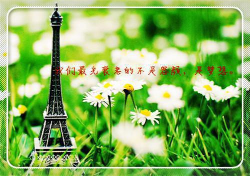 营养核桃的健康吃法