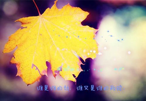 推荐几款缓解视力疲劳的食谱