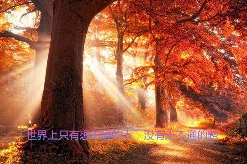 宝宝冬季吃水果注意3大“讲究”