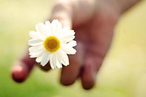 6种有助于防止打鼾的食物