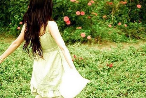 干豌豆的营养价值