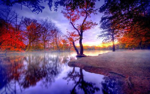 预防肝癌的最佳美食