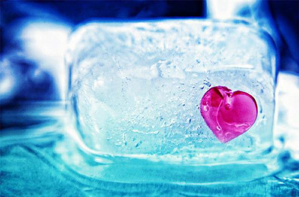 养生需要的十种食物