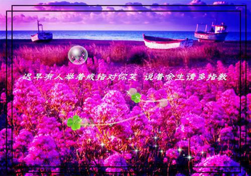 桂皮的药用价值