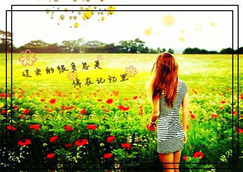 适合秋季喝的养生汤