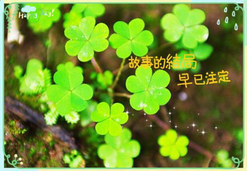 宝宝食欲不振喝点白萝卜粥