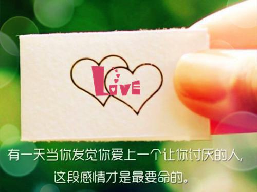 六种蔬菜秋季滋补养生