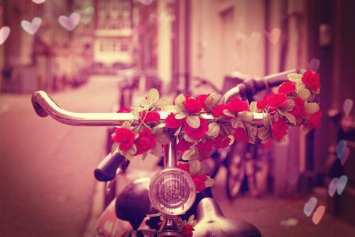 食疗偏方 黑芝麻加粳米熬粥可防脱发