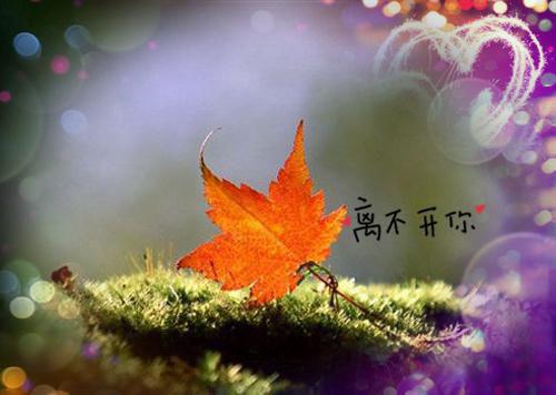 养颜汤，女性变美它们是关键