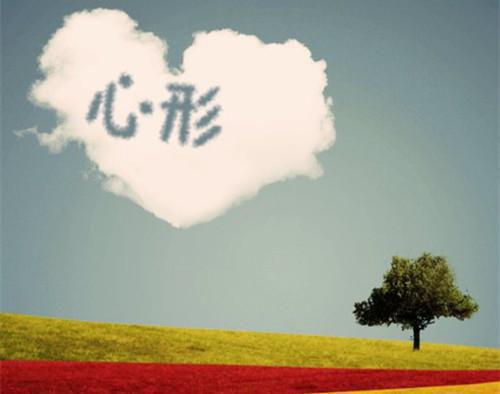 八款五谷杂粮养生茶