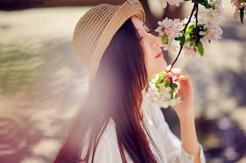 猪殃殃的药用价值